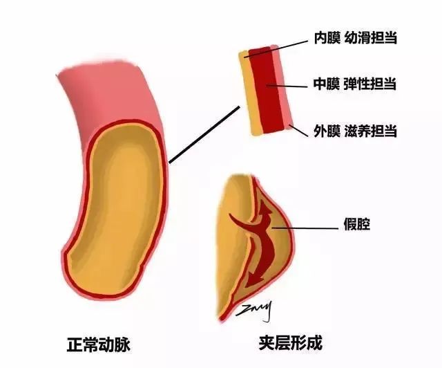 微信图片_20230421151925.jpg